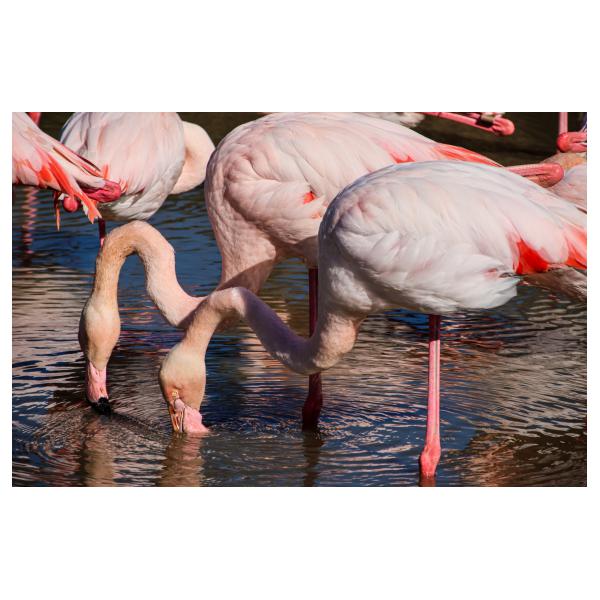 PHOTO84, CLUB, 84 , LUBERON